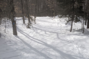 03/07 Winter Trails Update