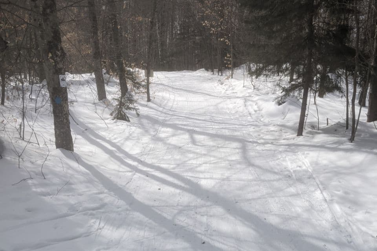 You are currently viewing 03/07 Winter Trails Update