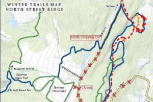 Trail News update 2/8/2022