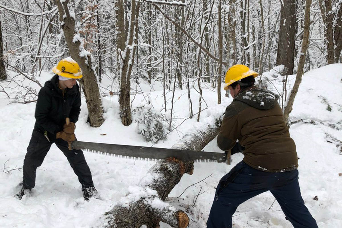 You are currently viewing Trail Work Day: Tuesday February 23rd